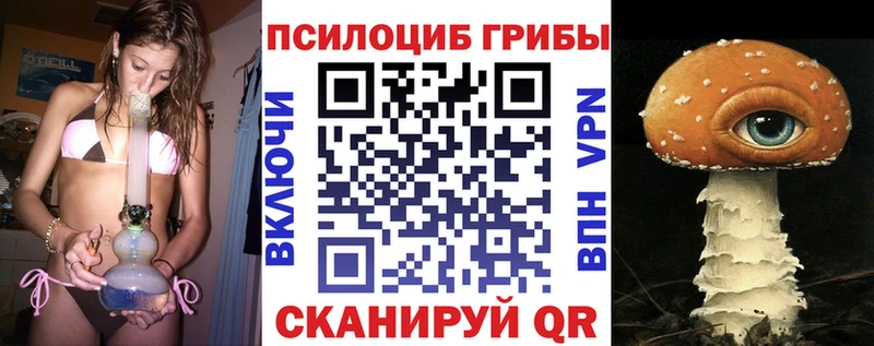 mega   Балашов  Псилоцибиновые грибы Psilocybe 