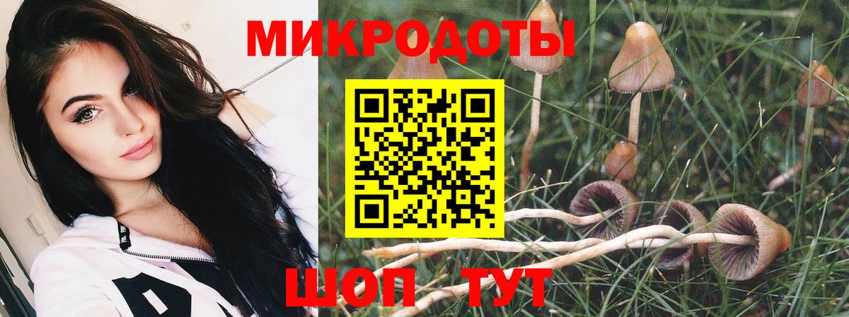 Балашов  Псилоцибиновые грибы Psilocybe  Галлюциногенные грибы GOLDEN TEACHER  Вход с VPN 