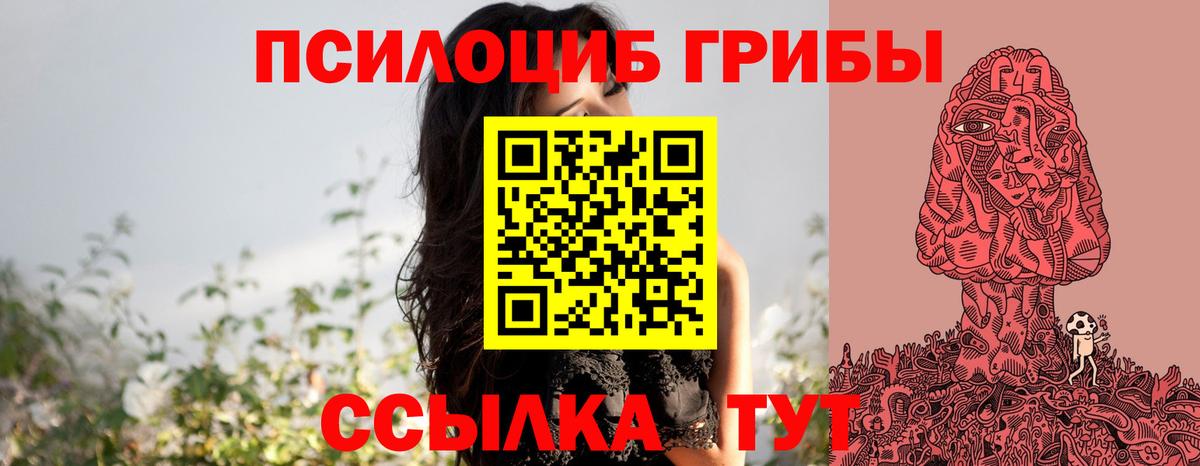 Галлюциногенные грибы Psilocybine cubensis Балашов