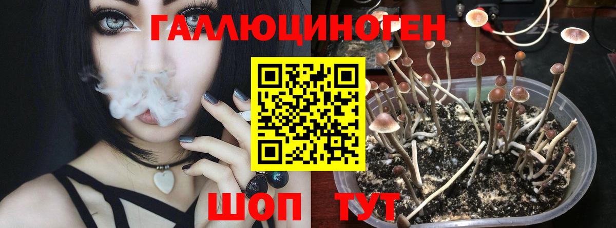 Галлюциногенные грибы Cubensis Балашов